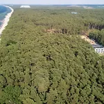 Szumi Sosna - - Premium - Sea Shell Лукенцин