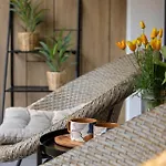 Szumi Sosna - - Premium - Sea Shell Лукенцин