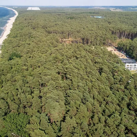 Szumi Sosna - - Premium - Sea Shell Łukęcin