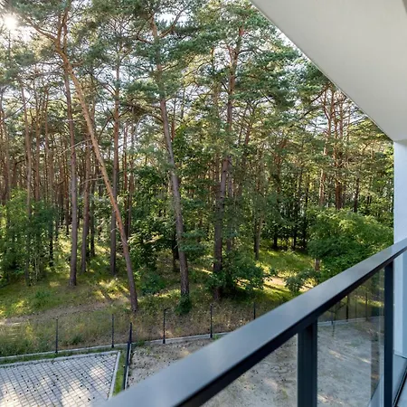 Szumi Sosna - - Premium - Sea Shell *