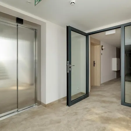 Szumi Sosna - - Premium - Sea Shell