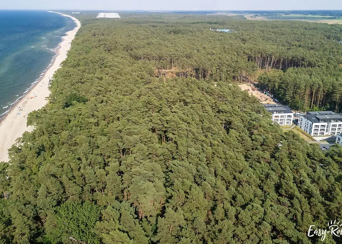 Szumi Sosna - - Premium - Sea Shell Łukęcin