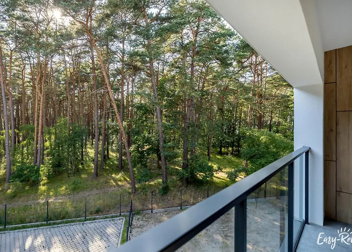 Szumi Sosna - - Premium - Sea Shell *