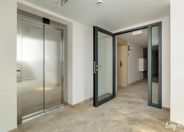 Szumi Sosna - - Premium - Sea Shell