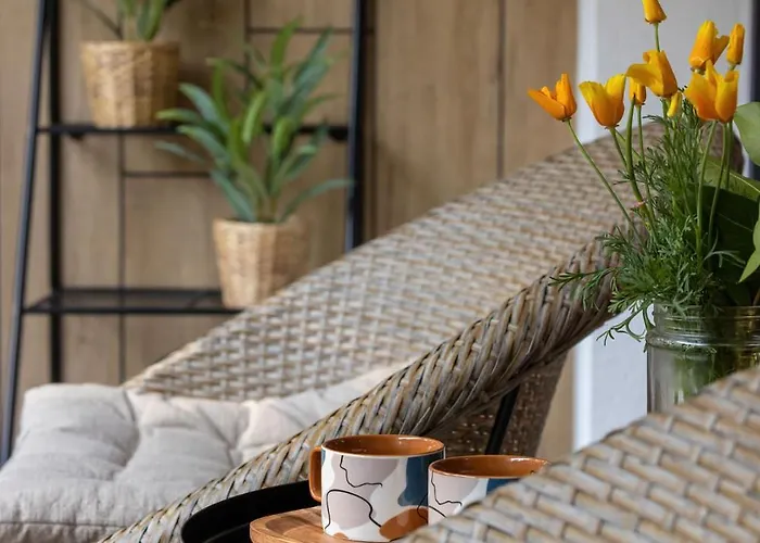 Szumi Sosna - - Premium - Sea Shell Łukęcin